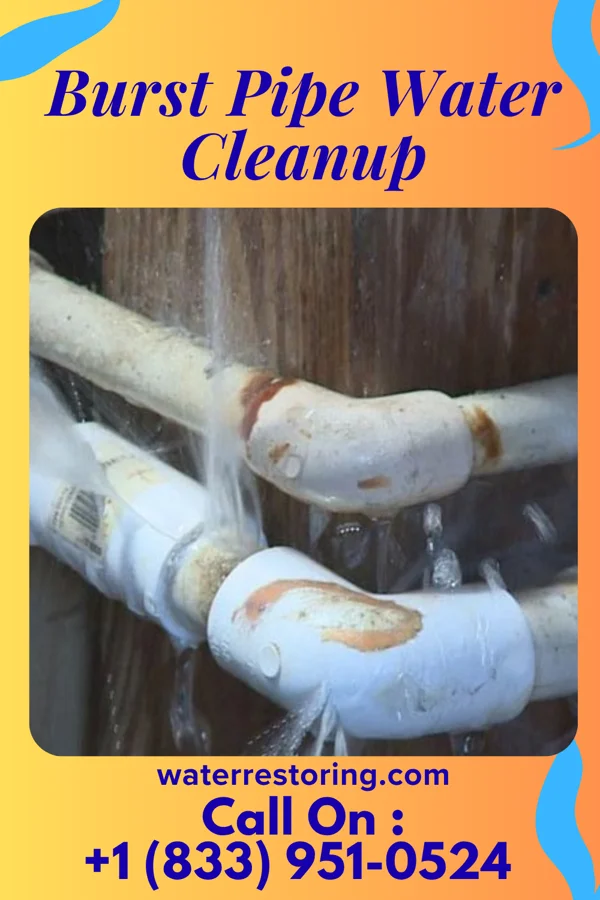 Burst Pipe Water Cleanup in West Leechburg, PA