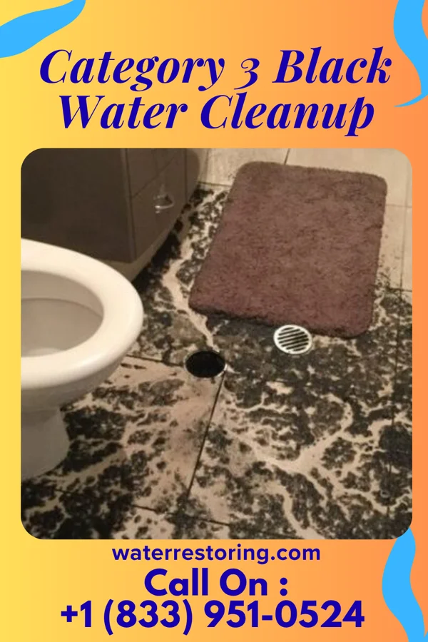 Category 3 Black Water Cleanup in West Leechburg, PA