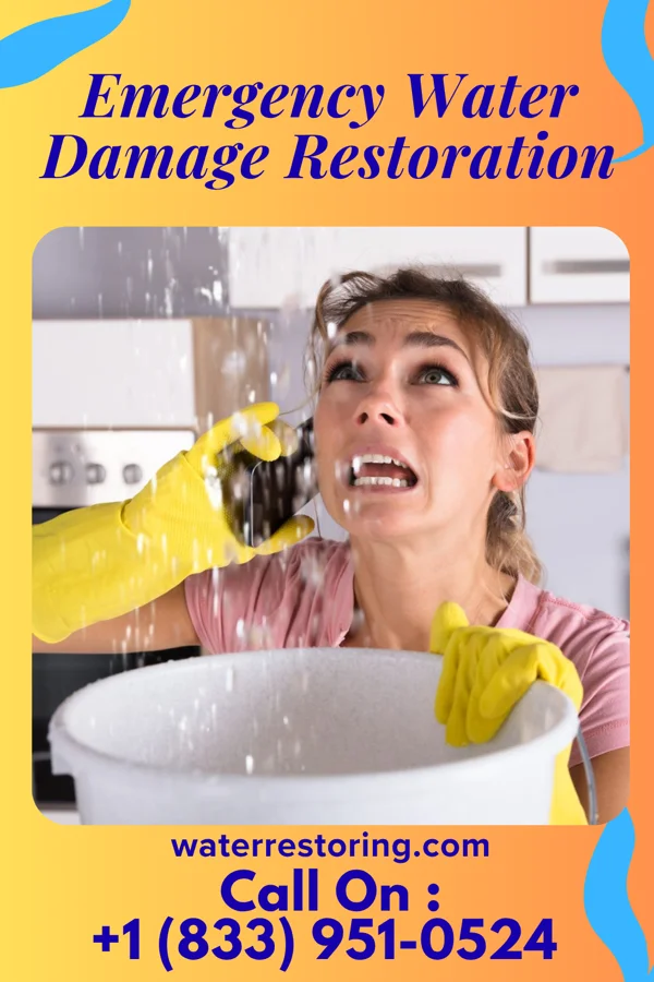Emergency Water Damage Restoration in West Leechburg, PA