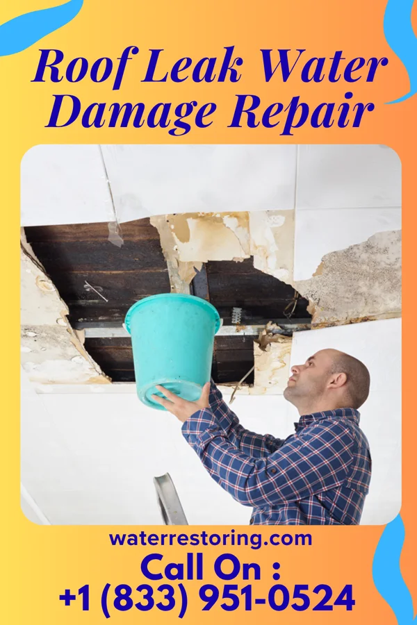 Roof Leak Water Damage Repair in West Leechburg, PA