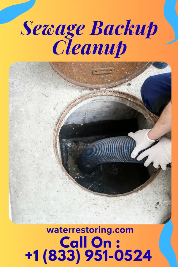 Sewage Backup Cleanup in West Leechburg, PA