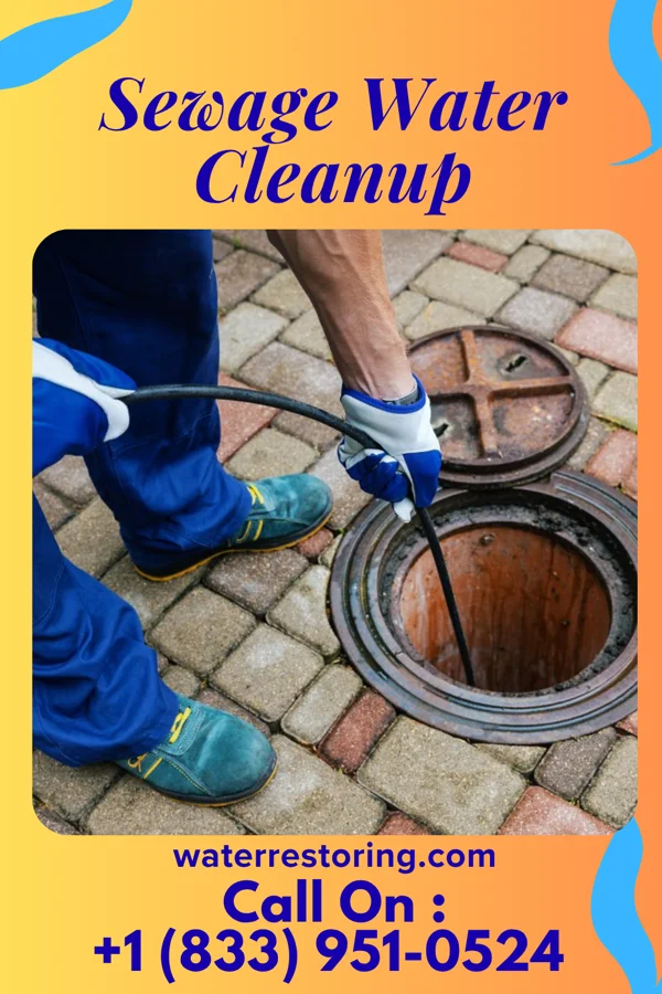 Sewage Water Cleanup in West Leechburg, PA