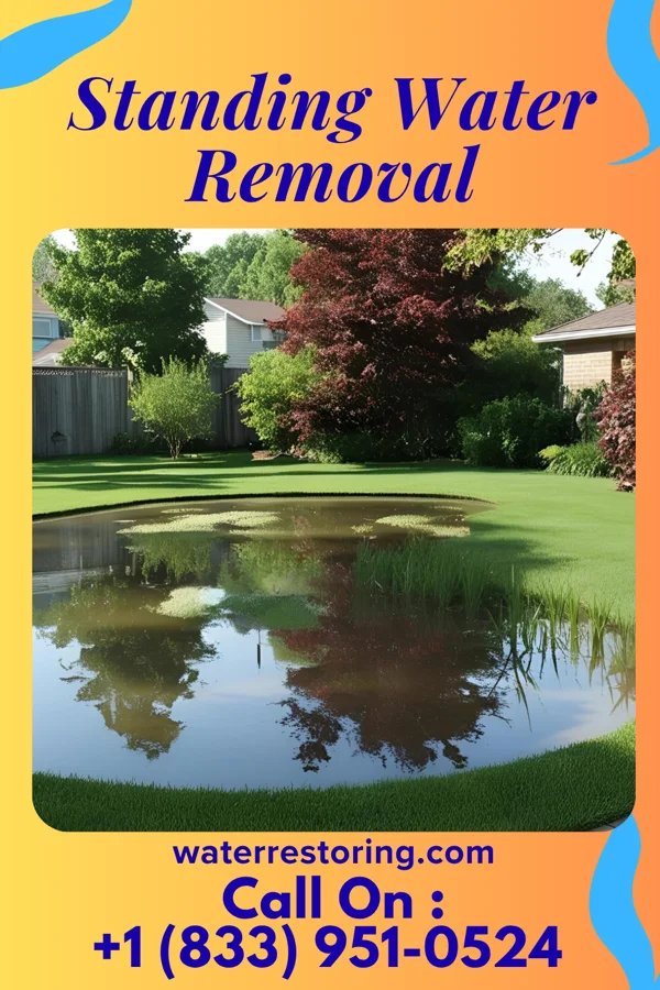 Standing Water Removal in West Leechburg, PA